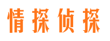 宽甸私人侦探